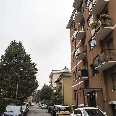 Hirondelle Como
